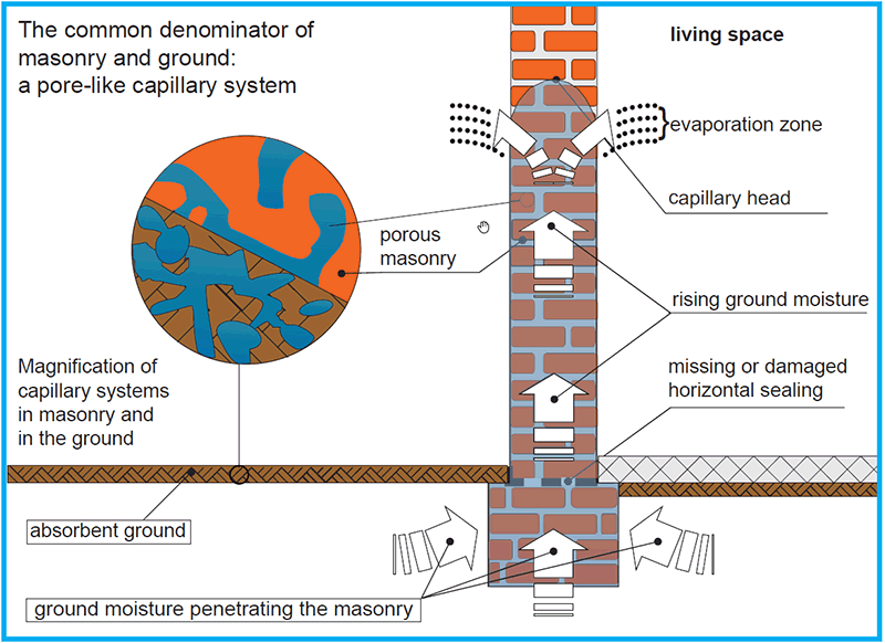 Rising damp illustration